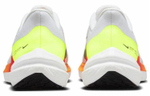 Кроссовки Nike Zoom Winflo 9