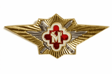 Значок мет. классность ФСИН Мастер (зол.)