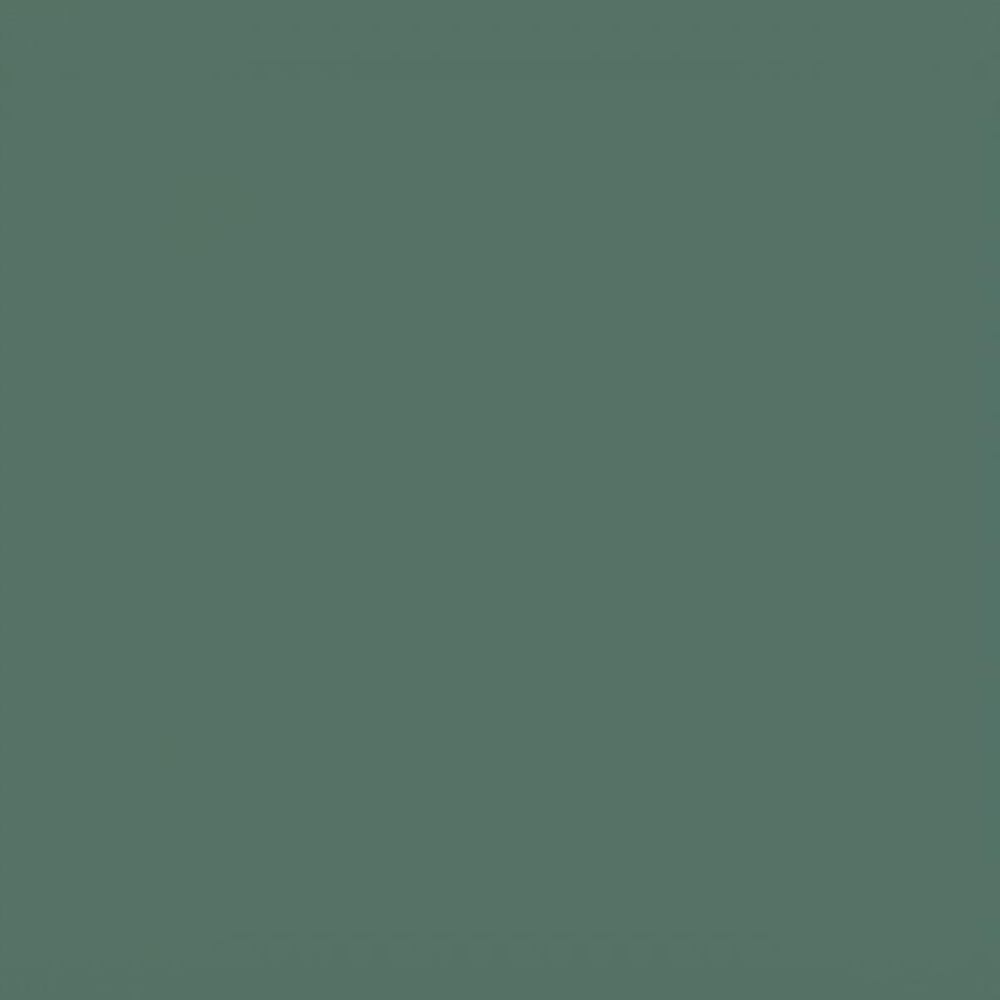 Коляска 2 в 1 Carrello Alfa 2025 CRL-6522 Meadow Green