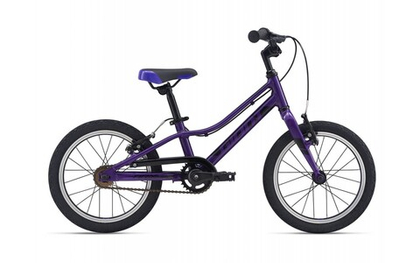 Детский велосипед Giant ARX 16 F/W (2021)