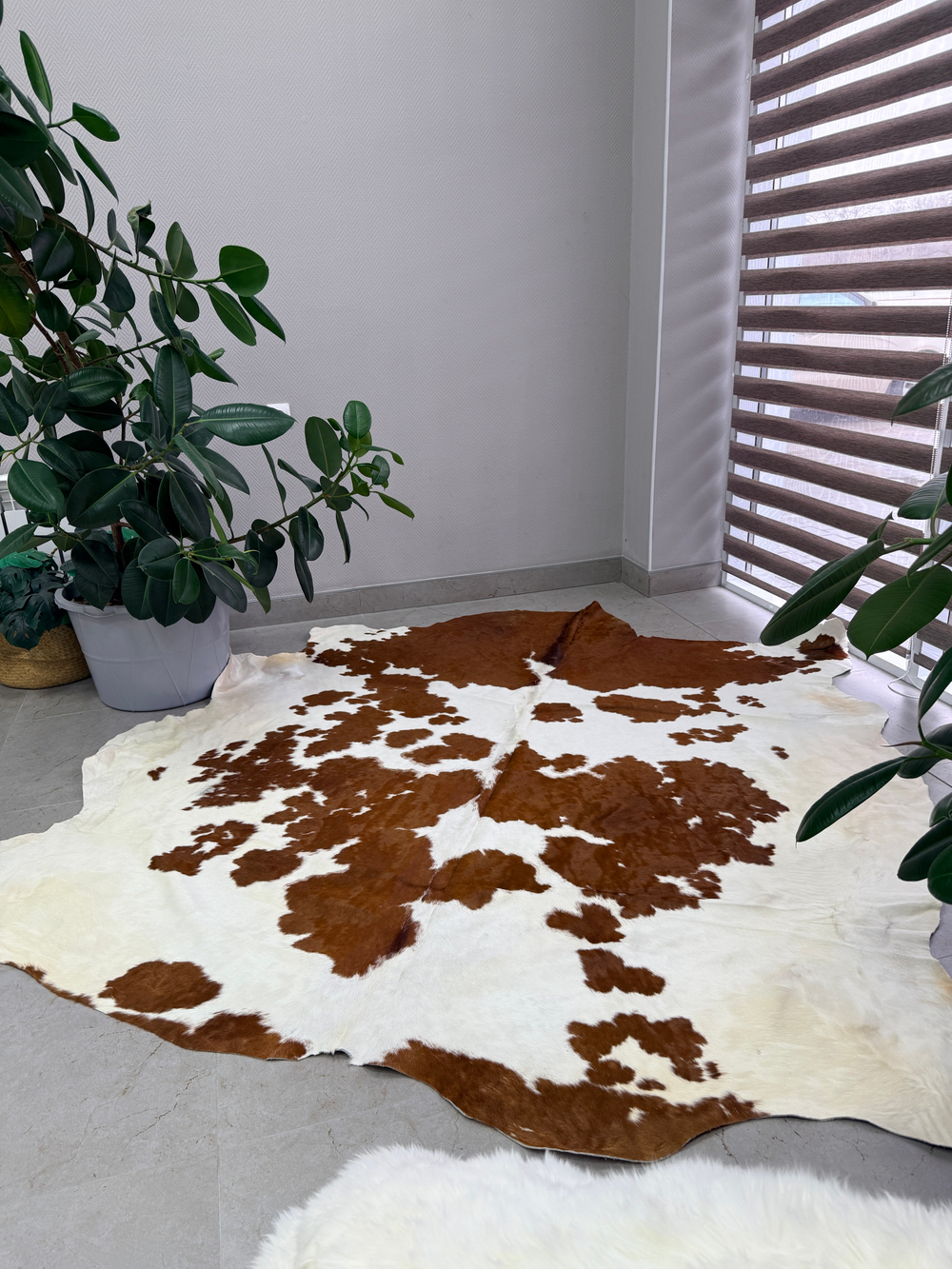 Коровья шкура на пол натуральная. 200 х 190 см