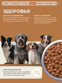 Корм сухой для пожилых собак породы Мопс старше 7 лет, с индейкой, 800 гр, QUATTRO
