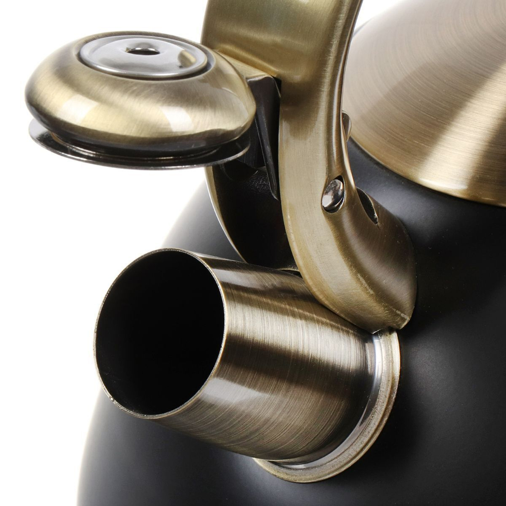 Чайник нерж, 3 л, свист, ручк металл, Daniks, индукц, M-079