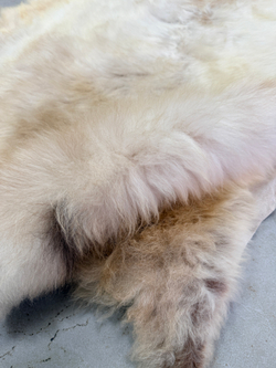 Шкура коврик меховой прикроватный овчина, 120х65 см.