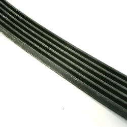 Ремень поликлиновой 6PJ559 для Могилевлифтмаш ИЭ-6009А4.2