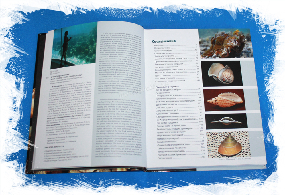 Описание о чём поют ракушки