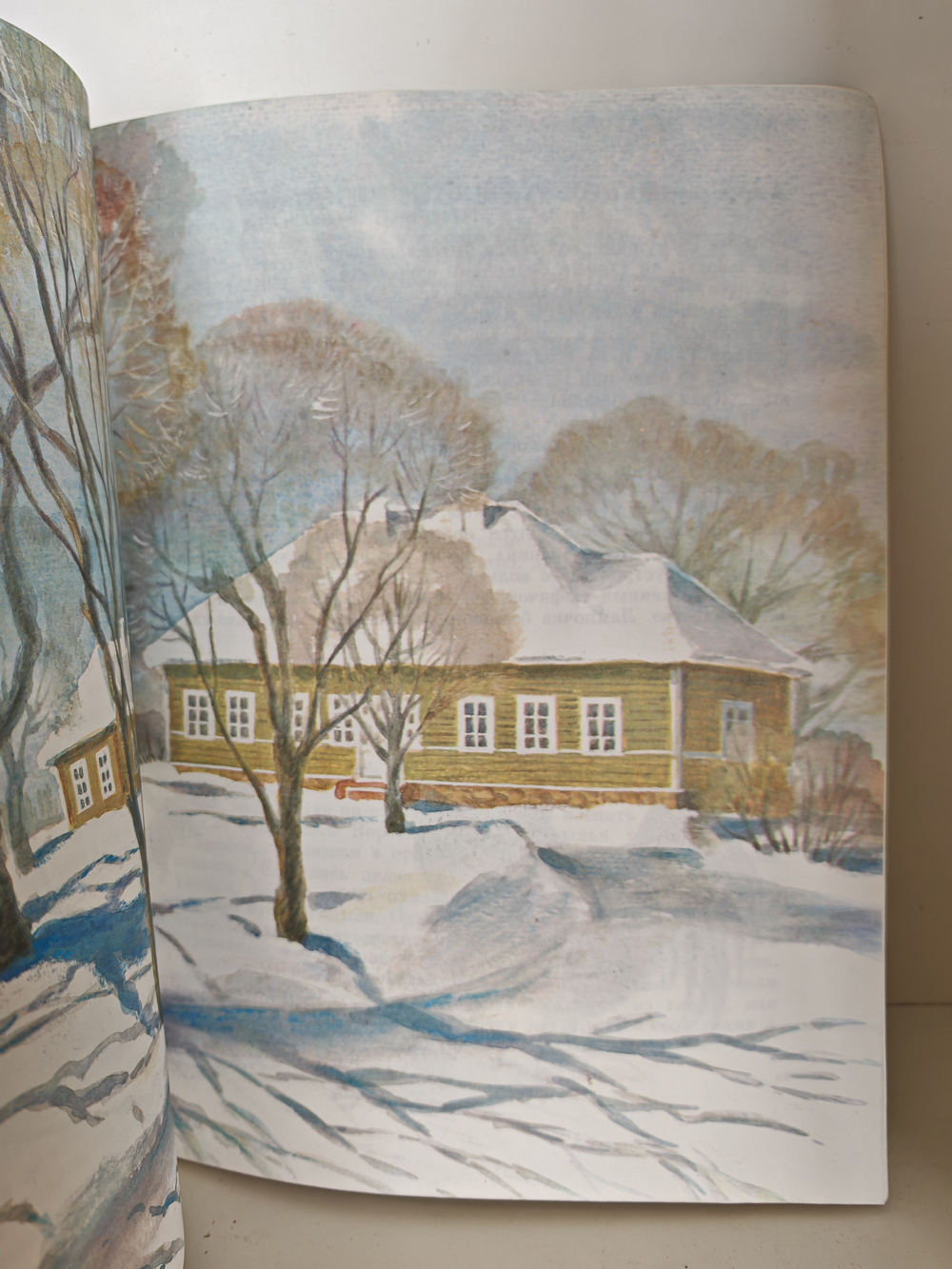 Под пологом леса. Новеллы о Михайловском