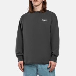 Лонгслив Haided Garden RLXD FIRM LS TEE, Серый