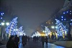 Светодиодная конструкция «Ель склонившаяся»