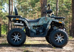 Квадроцикл YAMAHA Shark 300cc