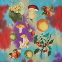  Футболка мужская Obey Fruits & Mushrooms артикул:163132677 - купить в магазине Дайс