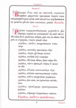 Похвала Богородице. Служба субботы акафиста в пятую седмицу Великого поста