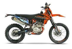 Мотоцикл кроссовый эндуро PROGASI Race 300 ENDURO