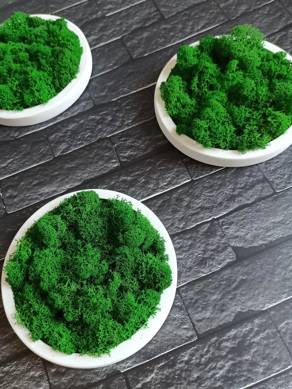 Круглое панно на стену из мха набор 3 шт.