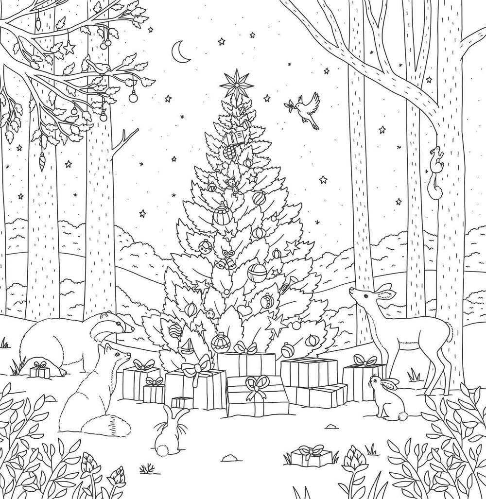 Hachette  раскраска по номерам  Animaux de la forêt