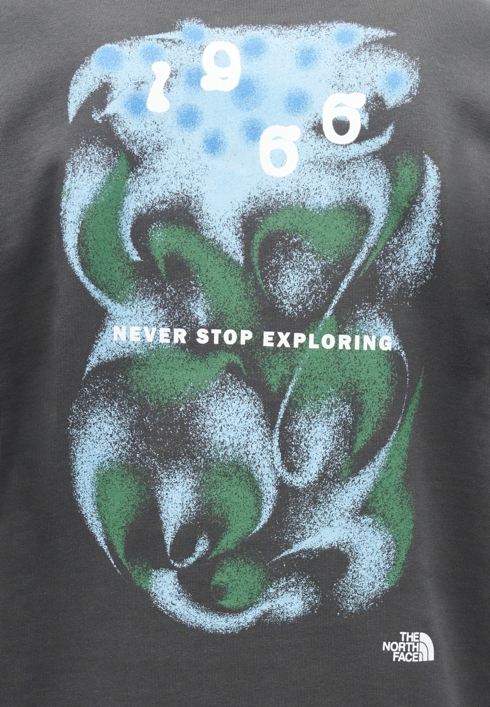 Худи The North Face - anthracite grey