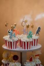 Цирк для Маши