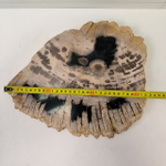 Набор из окаменелого дерева 4 предм Fossil Set NF-63297 поднос 149