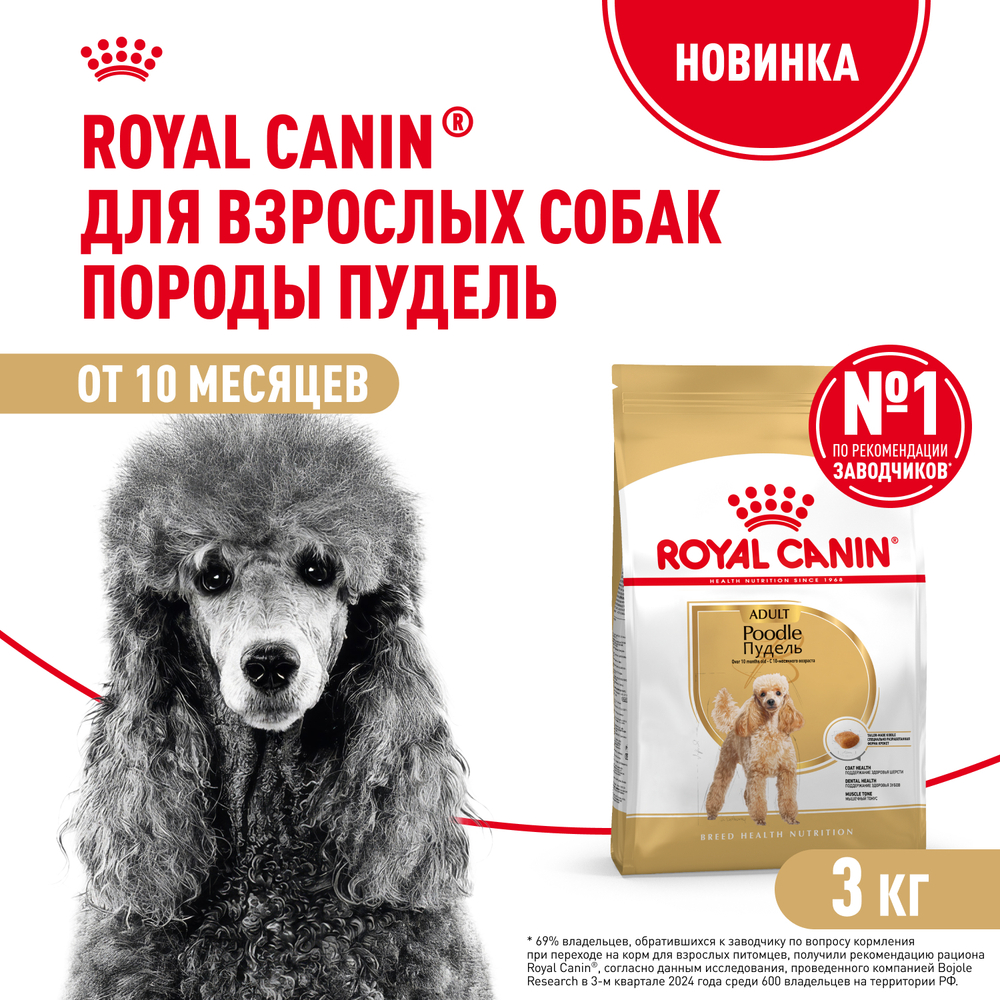 Royal Canin POODLE ADULT корм для взрослых собак породы пудель старше 10 месяцев 3кг