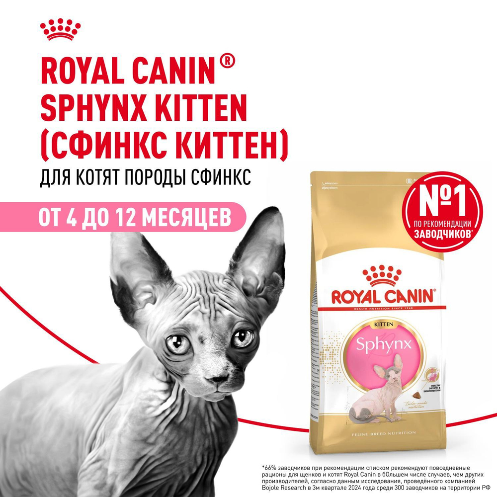 Royal Canin Sphynx Kitten Корм сухой сбалансированный для котят породы Сфинкс до 12 месяцев 2 кг
