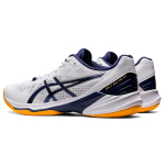 Кроссовки Asics Sky Elite, 1051A064-103