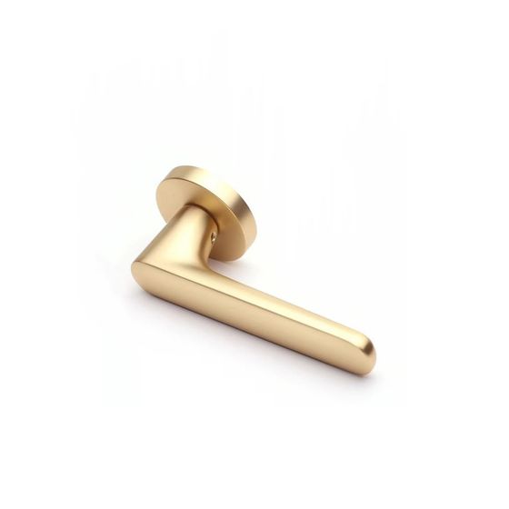 Фото дверной ручки ELLIPSE ZR BB золото матовое