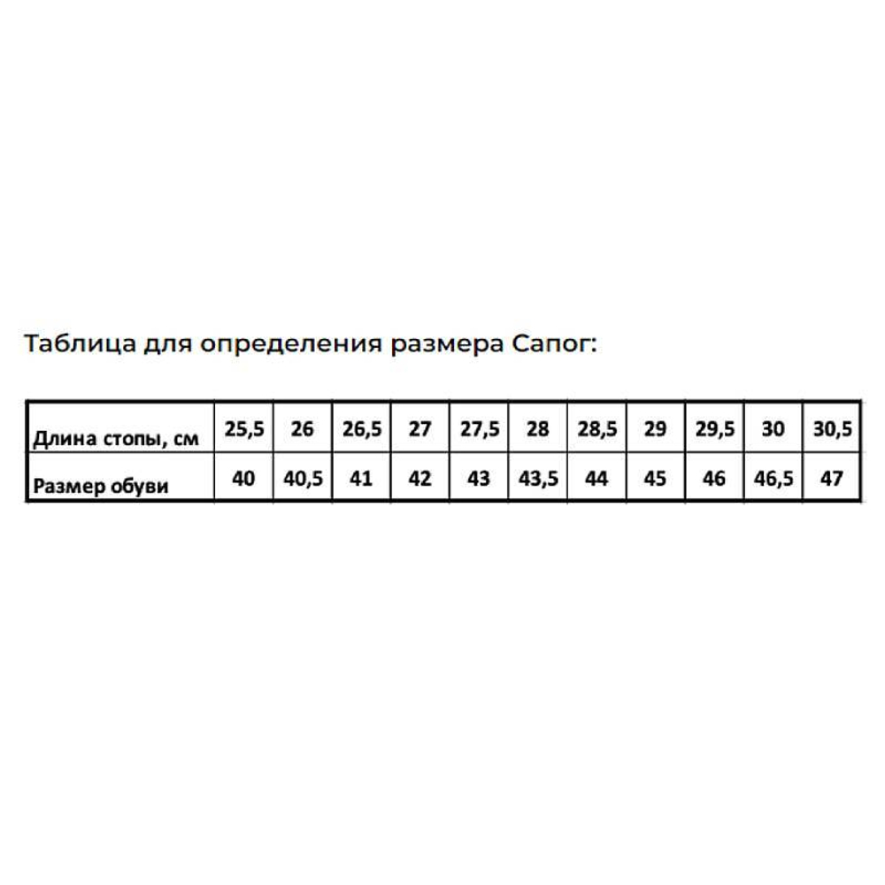 Сапоги арт.ZY-002 ТИТАН(-100)