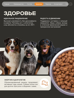 Корм сухой для взрослых собак средних пород, премиум полнорационный комплекс, забота о здоровье печени, с индейкой, 2,5 кг, QUATTRO