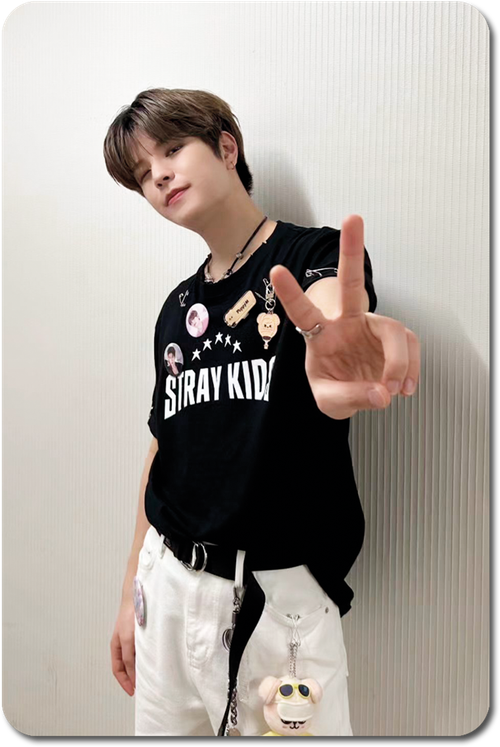 Карта / STRAY KIDS #0493