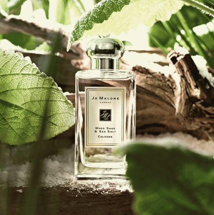 По мотивам Jo Malone - Wood Sage and Sea Salt (unisex), США