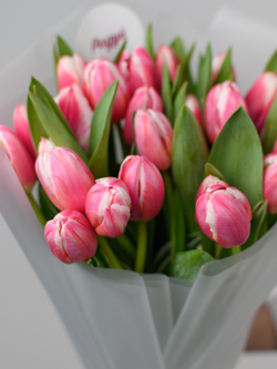 Тюльпаны микс