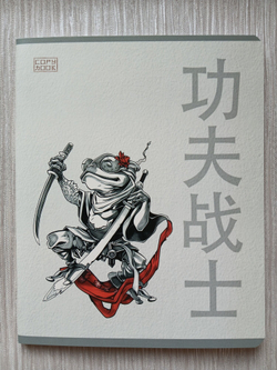 Тетрадь 48 листа А5+. "Боец Кунг-Фу", общая, клетка. Формат А5+ (163*203 мм). Арт.120040. С полями. Комплект 5 шт.