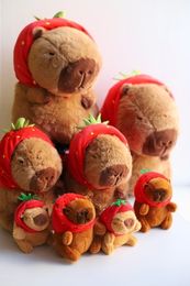 Капибара торт , капибара кафе