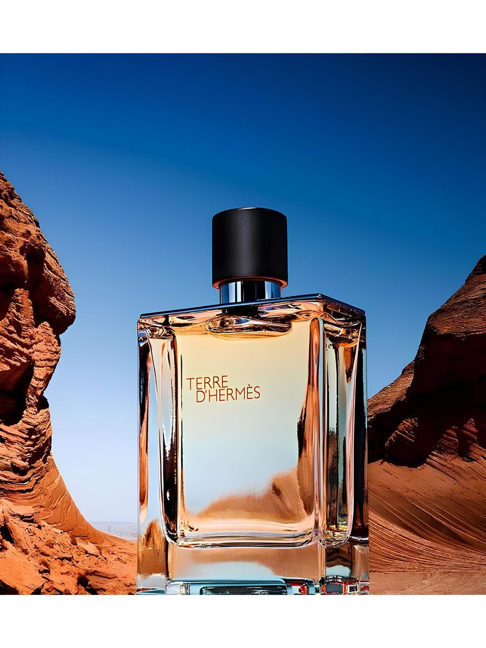 Hermès Terre D'Hermès EDT