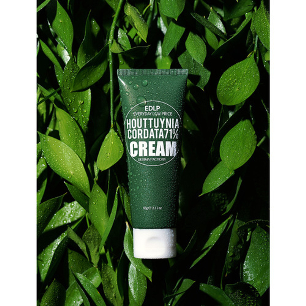 Крем увлажняющий для лица с экстрактом хауттюйнии Derma Factory Houttuynia Cordata 71% Cream