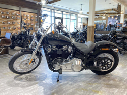 Softail Standard 2020