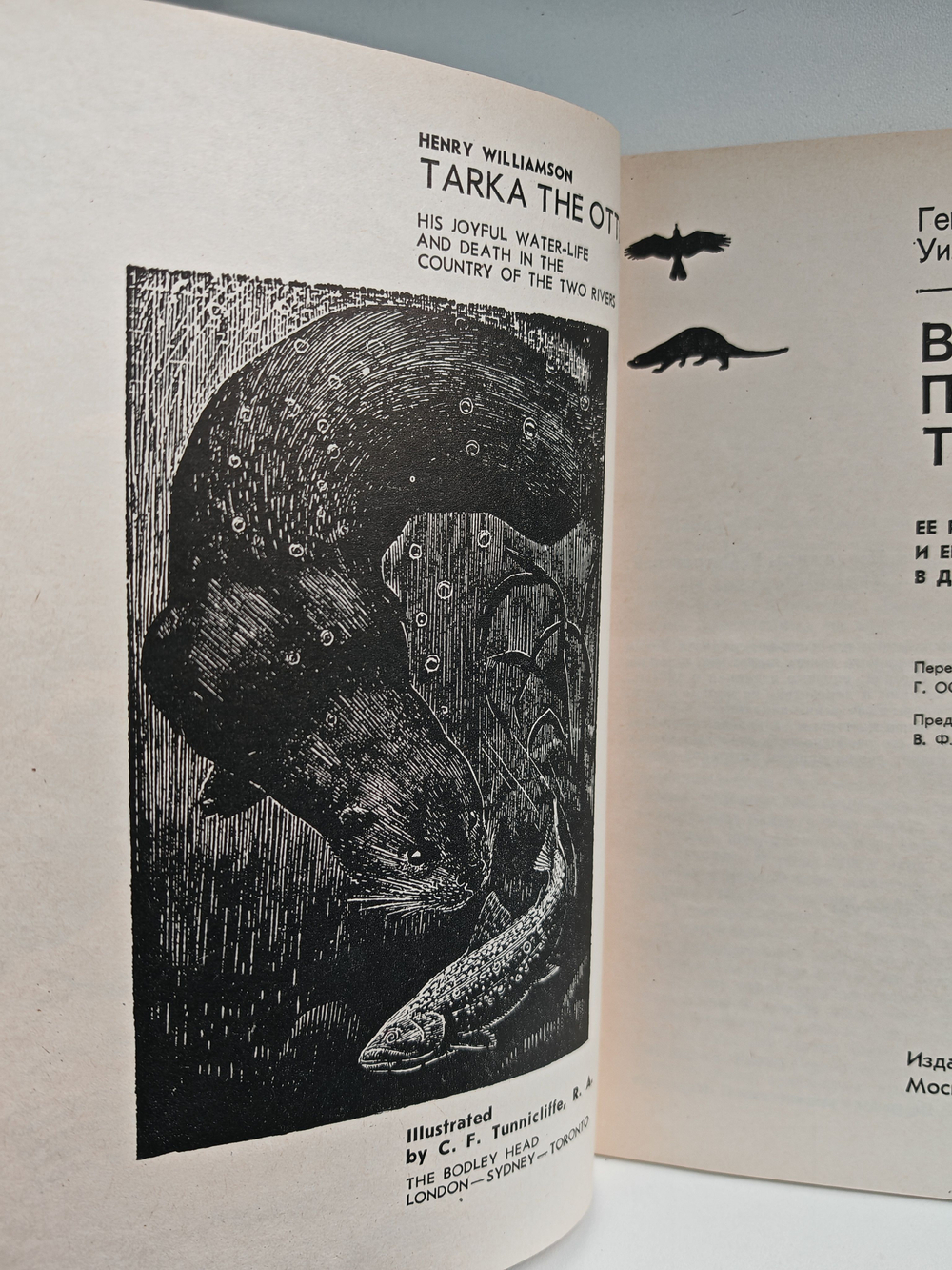 Выдра по имени Тарка