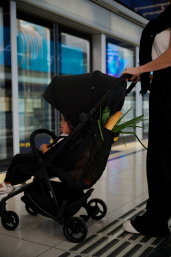 Прогулочная коляска Anex AIR-Z New Az-04-N Space