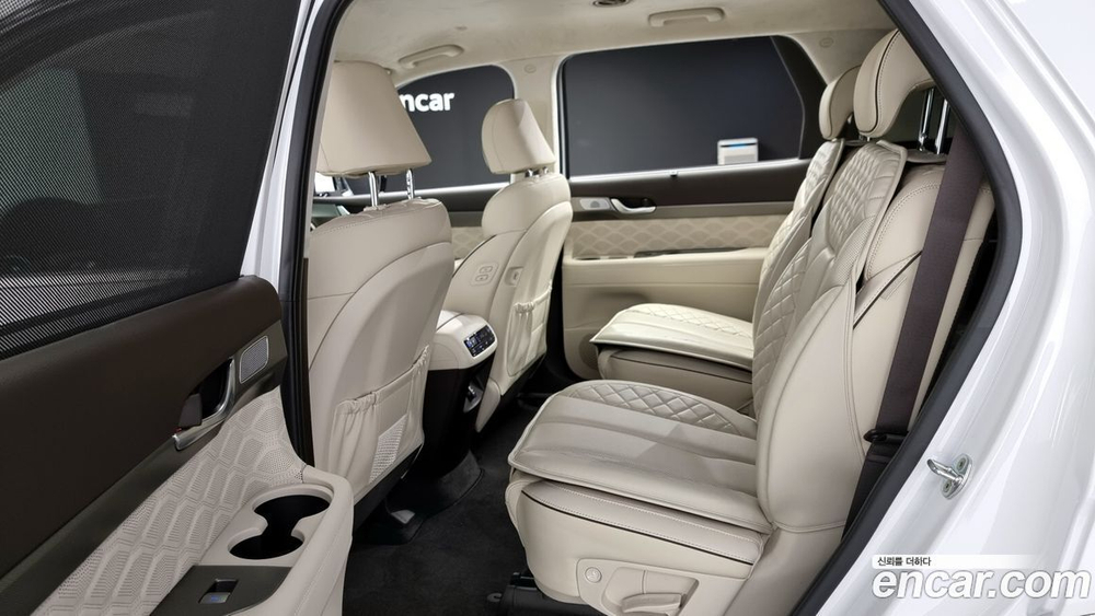 Hyundai Palisade Бензин 3.8 2WD (10.2021)