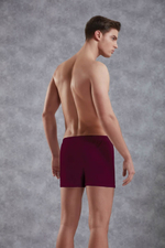 Хлопковые трусы-боксеры свободного покроя Doreanse Cotton Basic (Размер: L) (Цвет: бирюзовый)