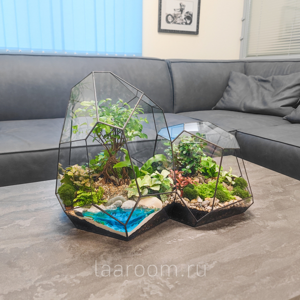 Флорариум бонсай Кассиопея с озером