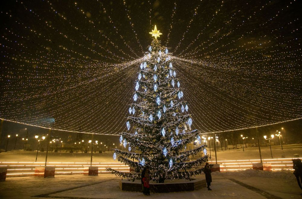 Уличная ствольная елка со скамейкой "Лесная" (Литая хвоя) 14 м