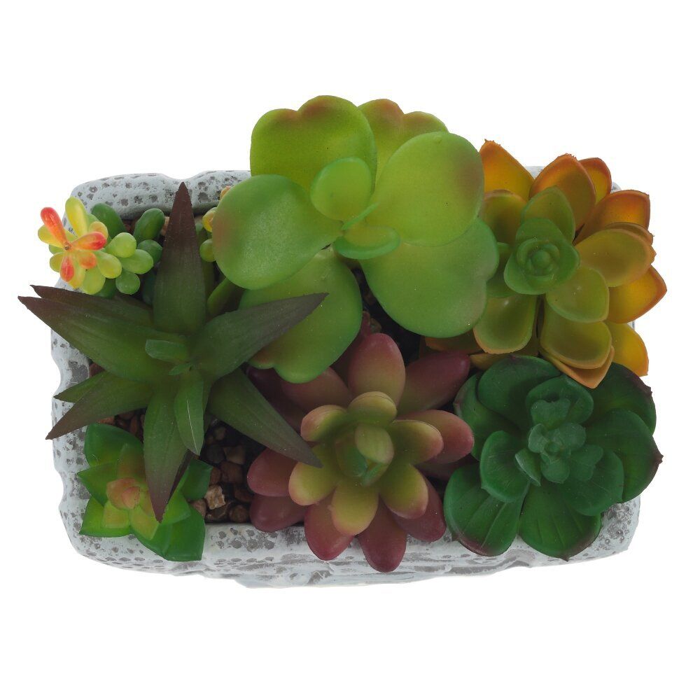 GAEM Цветочная композиция "Суккуленты", L16 W11,5 H16 см