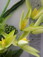 Настенная композиция с цветами в раме 70*32 см