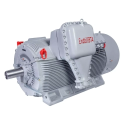 Электродвигатель ESQ M 400-SDN 6,0-315/1500-EP-A IP55 (SG) 315/1500 IM1001