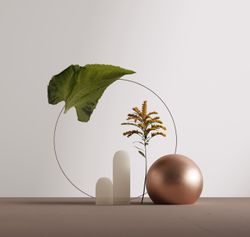 Lotus Universe / Лотос Космос
