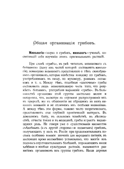 Краткий очерк микологии с указанием грибов, наиболее вредных в сельском хозяйстве и лесоводстве | И. П. Бородин