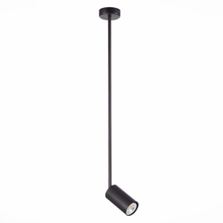 Светильник на штанге ST-Luce SL1206.403.01