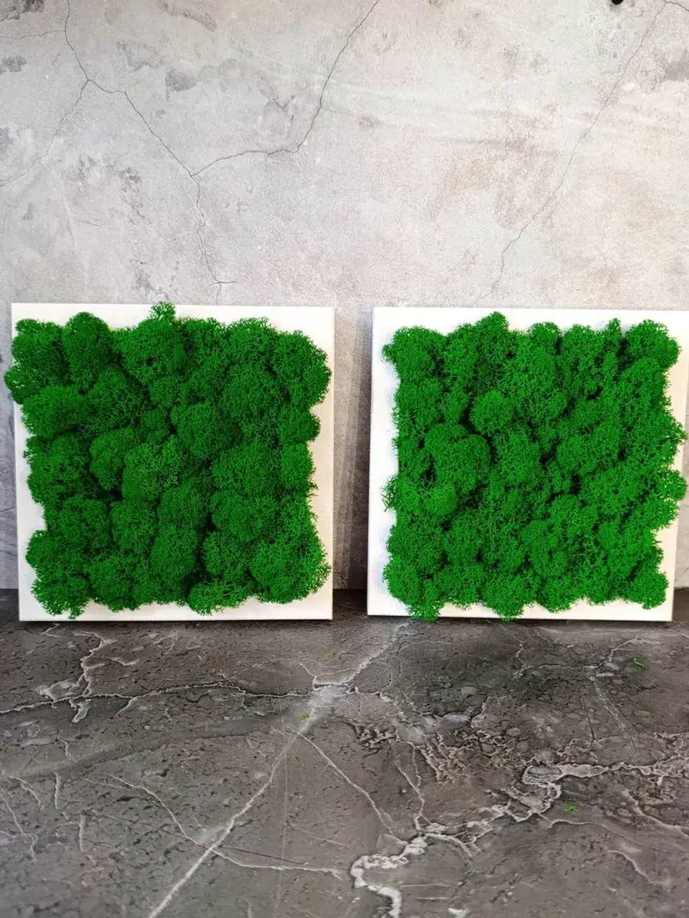 Квадратное панно на стену 20*20 из мха набор 2 шт.