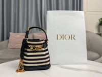 Christian Dior Small C'est Dior Bag